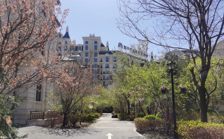 顺义区 李魏路宣庄户段8号院88号楼-1至2层101（新华联潮白河8号）办公