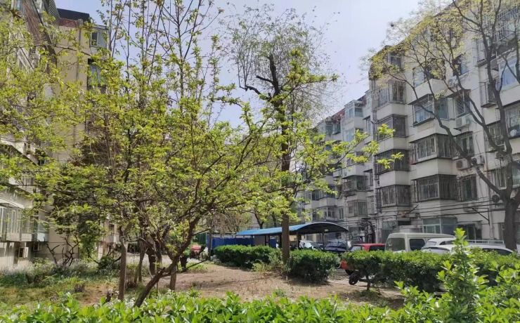 大兴区 黄村镇兴政西里3号楼3层5-302