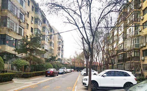 大兴区 西红门镇九龙山庄三区5号楼1层3-101