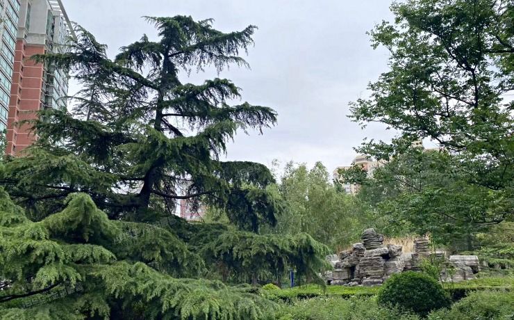 丰丰台区芳群园一区3号院2号楼25层一单元2503室