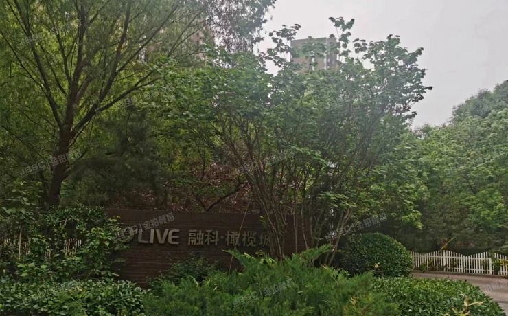 朝阳区 望京东园516号楼15层1单元1802（融科橄榄城三期）