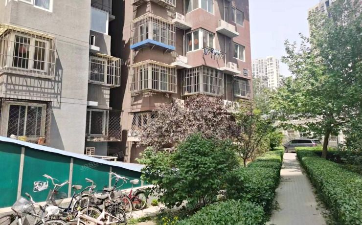 朝阳区住欣家园205号楼2层208号