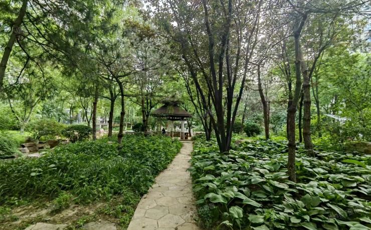 朝阳区 广渠门外大街五号院10号楼1602室（富力城D区）