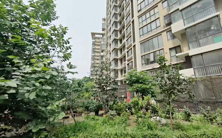 大兴区 黄村中里24号楼1单元201室（时代龙和大道）