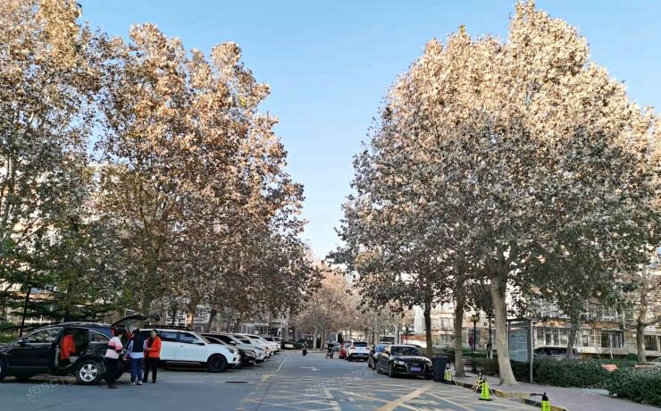 朝阳区 周庄嘉园东里2号楼4单元202室