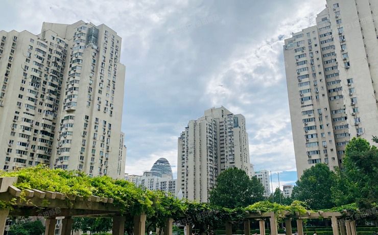 朝阳区 望京西园414号楼205室（望京新城）