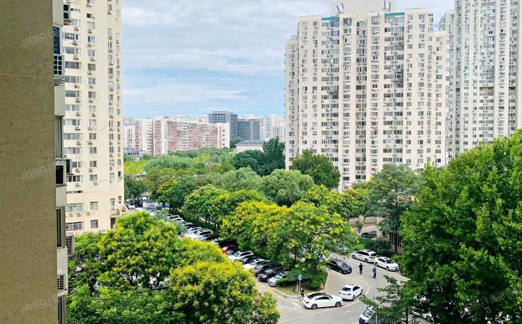 朝阳区 望京西园414号楼205室（望京新城）