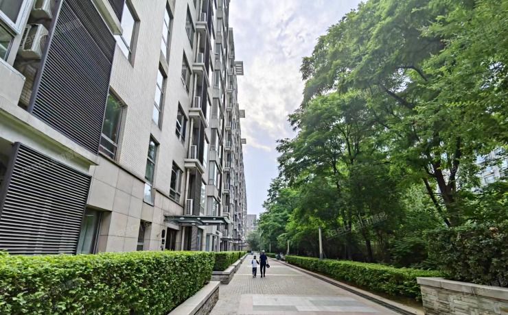 朝阳区百子湾南二路76号院6号楼1层5单元102（乐成国际）