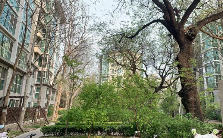 西城区太平桥大街8号院11号楼4层1单元401房产及3幢-2层20055、20084车位（西城晶华）