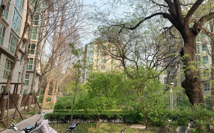 西城区太平桥大街8号院11号楼4层1单元401房产及3幢-2层20055、20084车位（西城晶华）