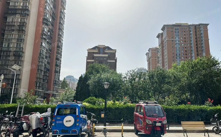 朝阳区大屯里115号楼5层503（大屯里小区）