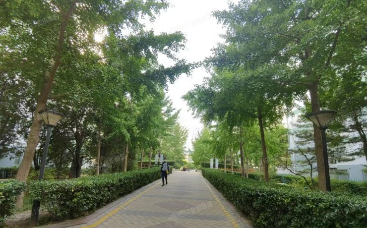 朝阳区南十里居28号院东润景枫7号楼3层3单元3B及E105、E107车位（东润枫景三期）