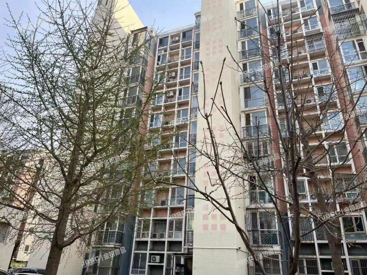 大兴区丽园B区10号楼1单元202室