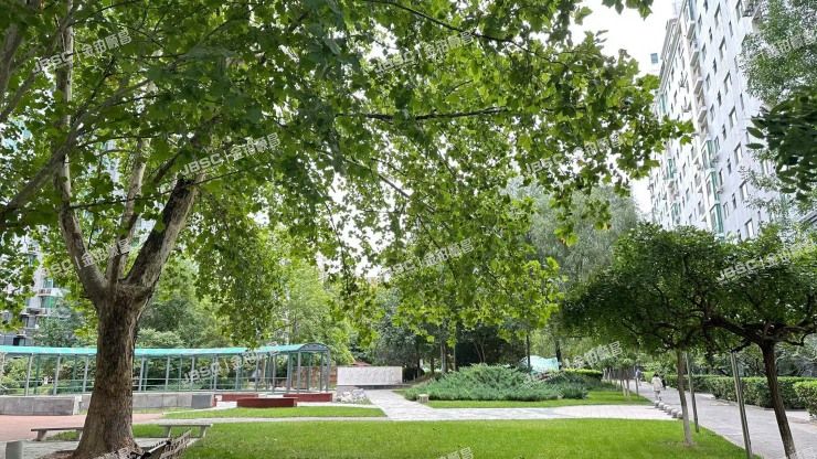 朝阳区 广渠门外大街3号院12号楼902室（富力城C区）