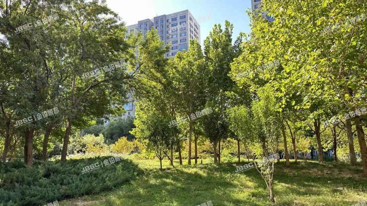 朝阳区 百子湾路32号院南6号楼26层B座3006室（苹果社区）