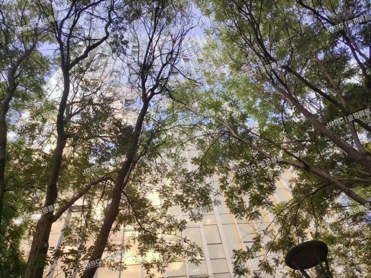 大兴区 经济技术开发区荣华南路7号院4号楼8层904室（君安国际）