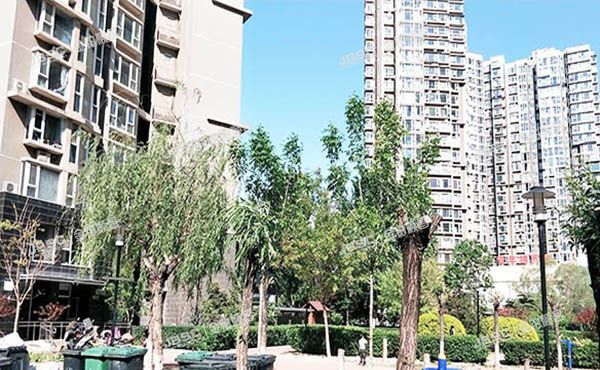 朝阳区 青年路西里3号院6号楼2层F2-10（国美第一城）