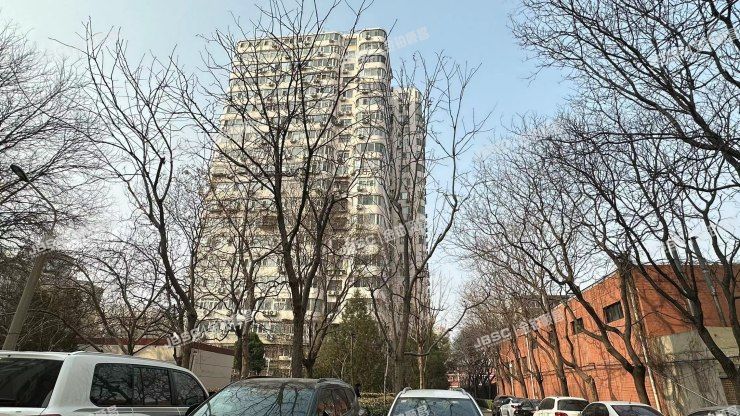 朝阳区 和平街西苑7号楼708室