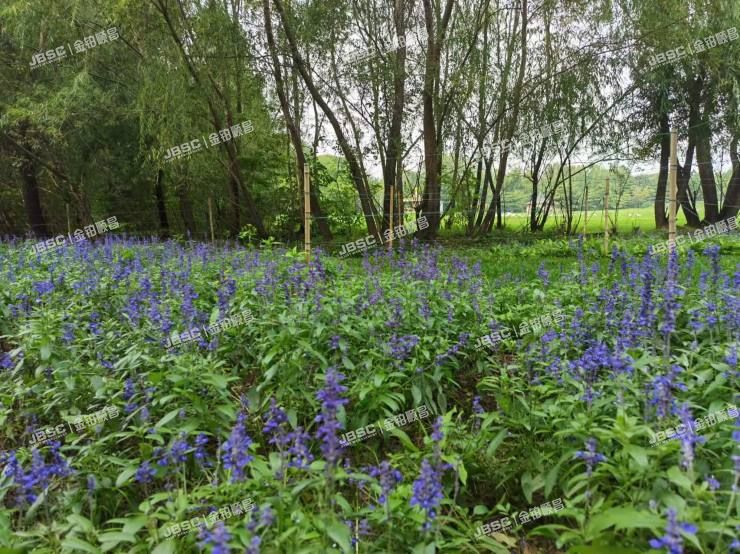 朝阳区 紫玉东路1号830幢-1至3层(紫玉山庄)别墅