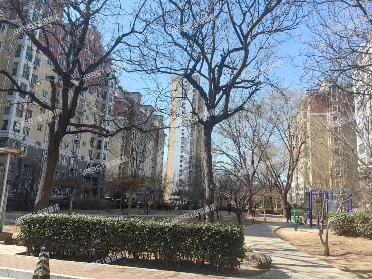 通州区 紫运西里6号楼6层161室（荔景园）