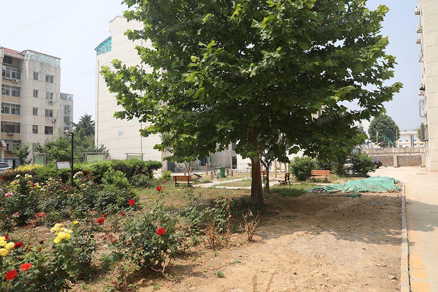 怀柔区 梅苑花园4号楼3单元601室