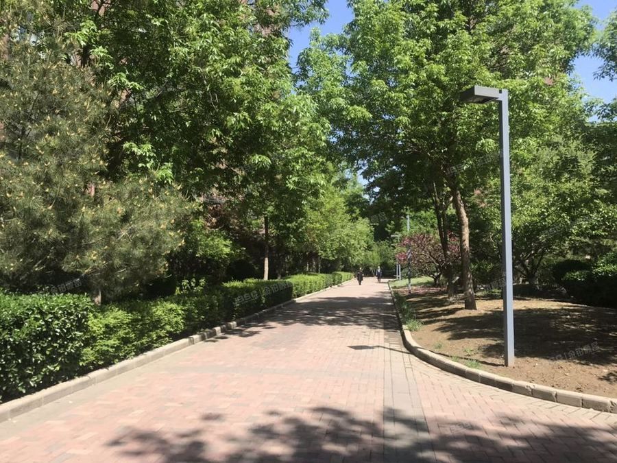 朝阳区 融科橄榄城三期517号楼9层2单元1004号 北京法拍房