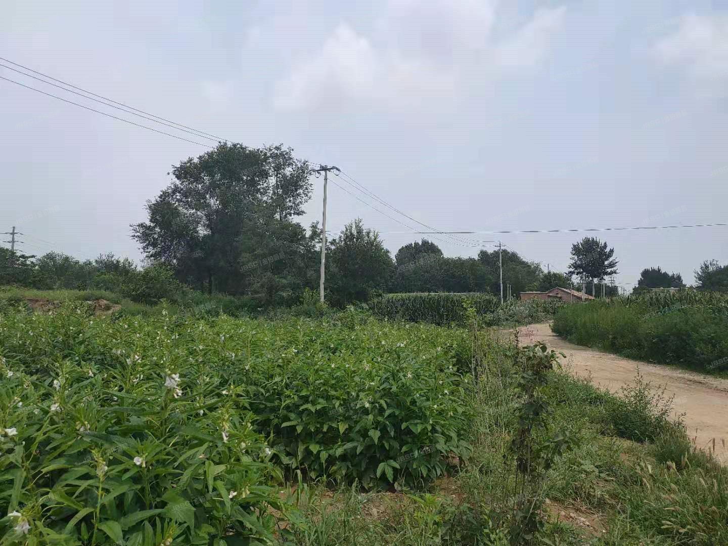 房山区 阎村镇南梨园村土地使用权及地上建筑物