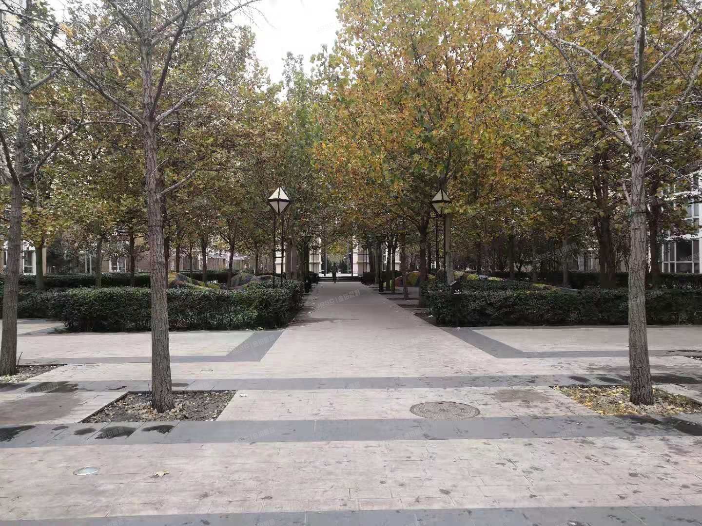 丰台区星河苑2号院4号楼17层1706室