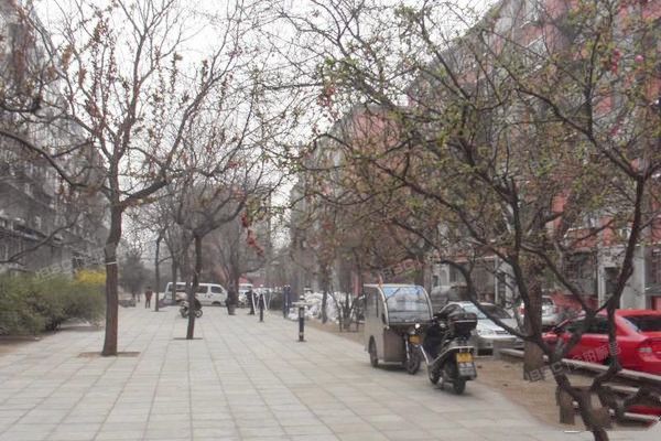 海淀区 西外太平庄7号楼1层4门2号（北京动物园社区）