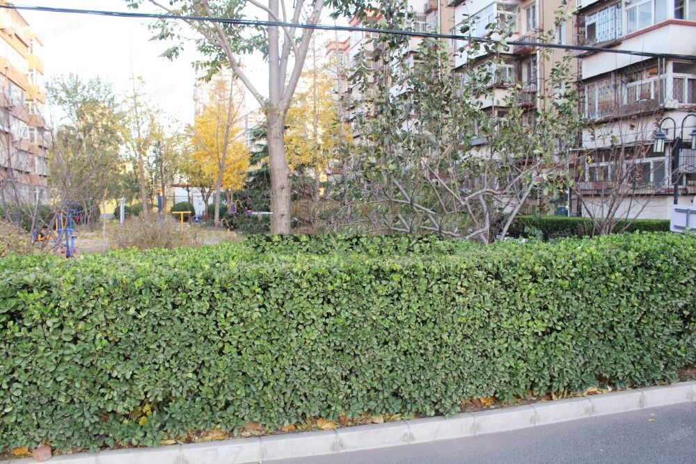 通州区 新华西街131号1号楼6层2单元212