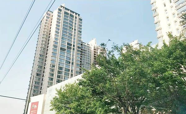 朝阳区 朝阳公园南路8号院5号楼4层501（棕榈泉）