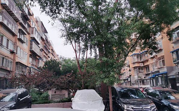 西城区 新街口西里二区3号楼6层10单元603