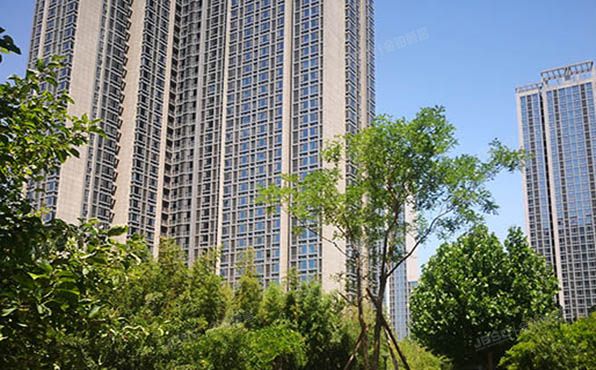 通州区 芙蓉园282号楼3层3单元303号（京贸国际城）