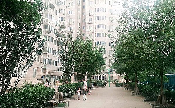 海淀区 羊坊店东路19号2号楼15层1505（海天中心）