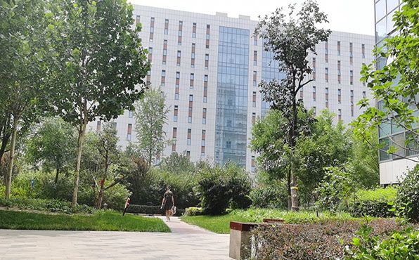 顺义区 顺仁路55号院1号楼5层522号（锦悦嘉苑）办公