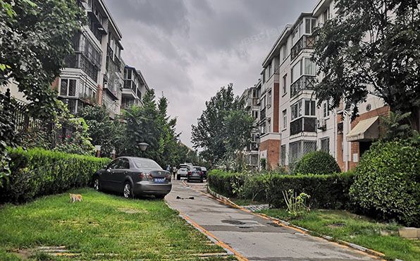 大兴区 九龙家园小区1号楼4单元201室