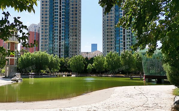 丰台区   怡海花园恒丰园12号楼1806号