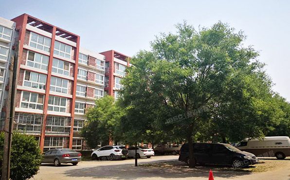 通州区 漷县镇漷兴北大街46号院1号楼6单元601室（万驰家园）