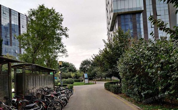 顺义区 顺畅大道14号院1号楼3层3单元313号（东亚新华首航国际）办公