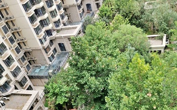 通州区 景盛南二街45号院3号楼10层2单元1005（合生世界村）