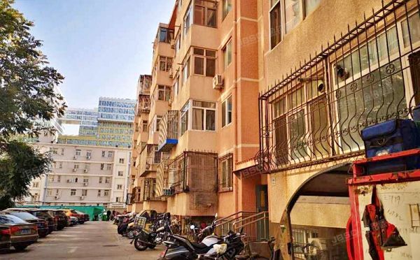 海淀区 中关村南大街19号新1号楼1层5单元501（民族歌舞剧团家属院）