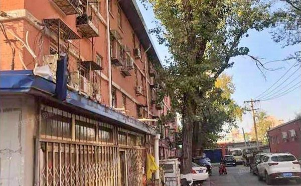 西城区 白纸坊胡同1号楼②-2-203（白纸坊胡同）