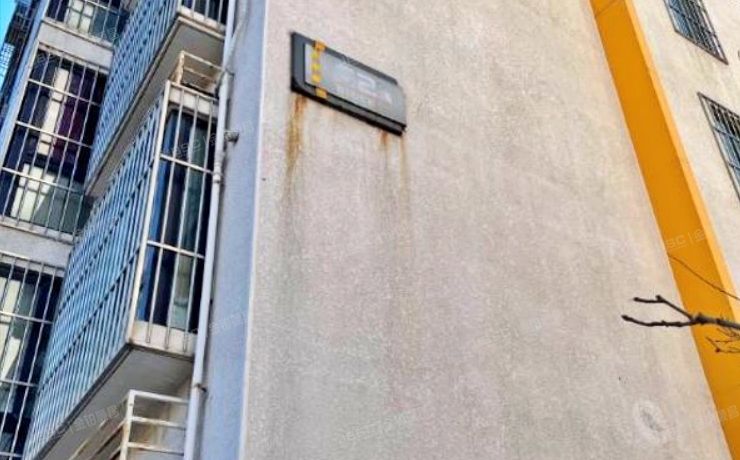 通州区 玉桥北里62号楼3单元202（阳光好东东）