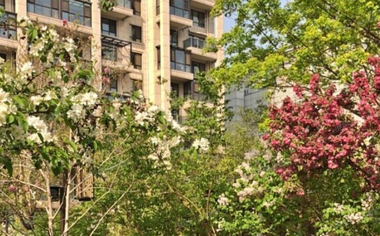 丰台区 西局后街8号院6号楼12层2单元1201（西宸原著）