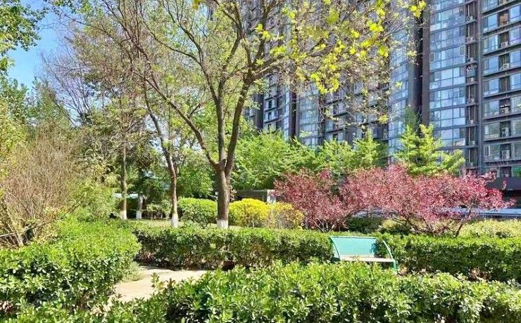 丰台区 南顶路281号6层3单元605（城市时尚家园） 北京法拍房