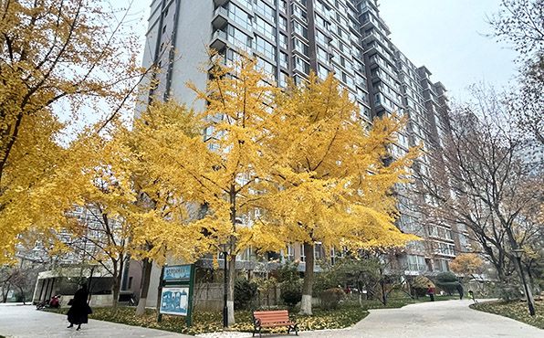 朝阳区 广渠门外大街三号院富力城C区9号楼6层0701号