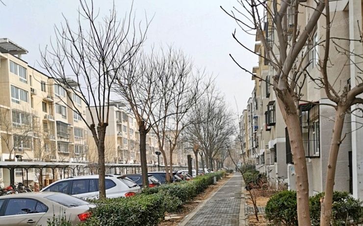 昌平区 回龙观镇龙跃苑东四区13号楼5层5单元502号（龙跃苑东四区）经适房