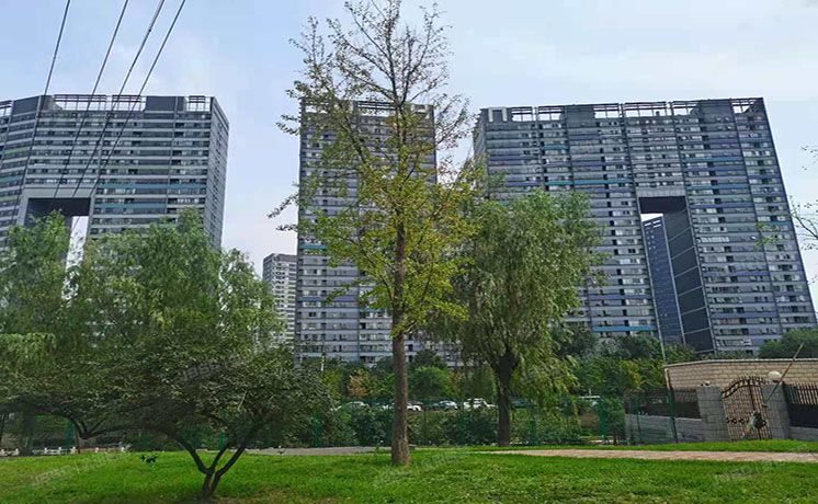 朝阳区 西坝河东里2号院9号楼7-802号（UHN国际村）