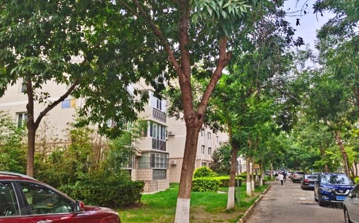 顺义区 蓝星花园2号楼2层3-202（蓝星花园）