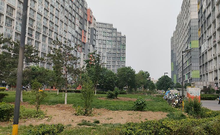 朝阳区 五里桥二街1号院1号楼1层0102号（北京像素）